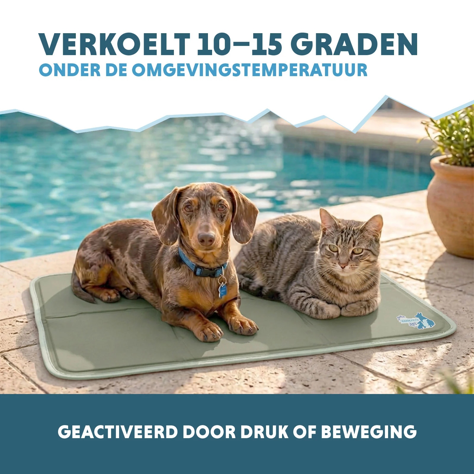 Tapis rafraîchissant pour chiens à gel solide, vert olive, M 76 x 50 cm – Coolpets Gel Cooling Mat – Image 4