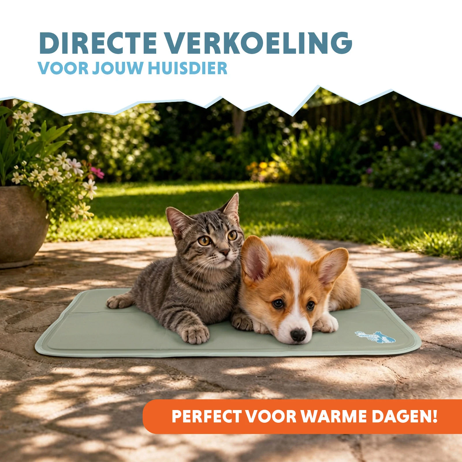 Tapis rafraîchissant pour chiens avec gel solide, vert olive, S 50 x 40 cm – Coolpets Gel Cooling Mat – Image 2