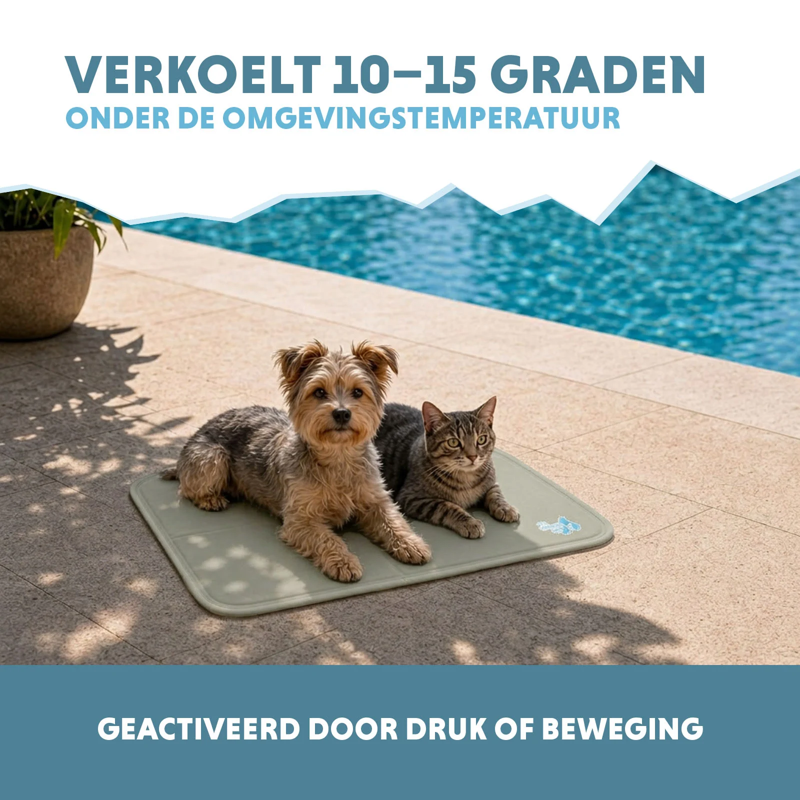 Tapis rafraîchissant pour chiens avec gel solide, vert olive, S 50 x 40 cm – Coolpets Gel Cooling Mat – Image 4