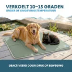 Tapis rafraîchissant pour chien à gel solide, vert olive, XL 120 x 70 cm – Coolpets Gel Cooling Mat – Image 4