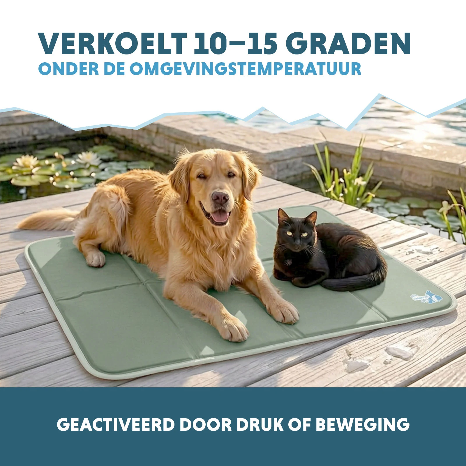 Tapis rafraîchissant pour chien à gel solide, vert olive, XL 120 x 70 cm – Coolpets Gel Cooling Mat – Image 4