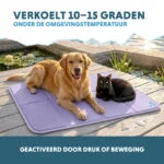 Tapis rafraîchissant pour chien à gel solide, lilas, XL 120 x 70 cm – Coolpets Gel Cooling Mat – Image 4