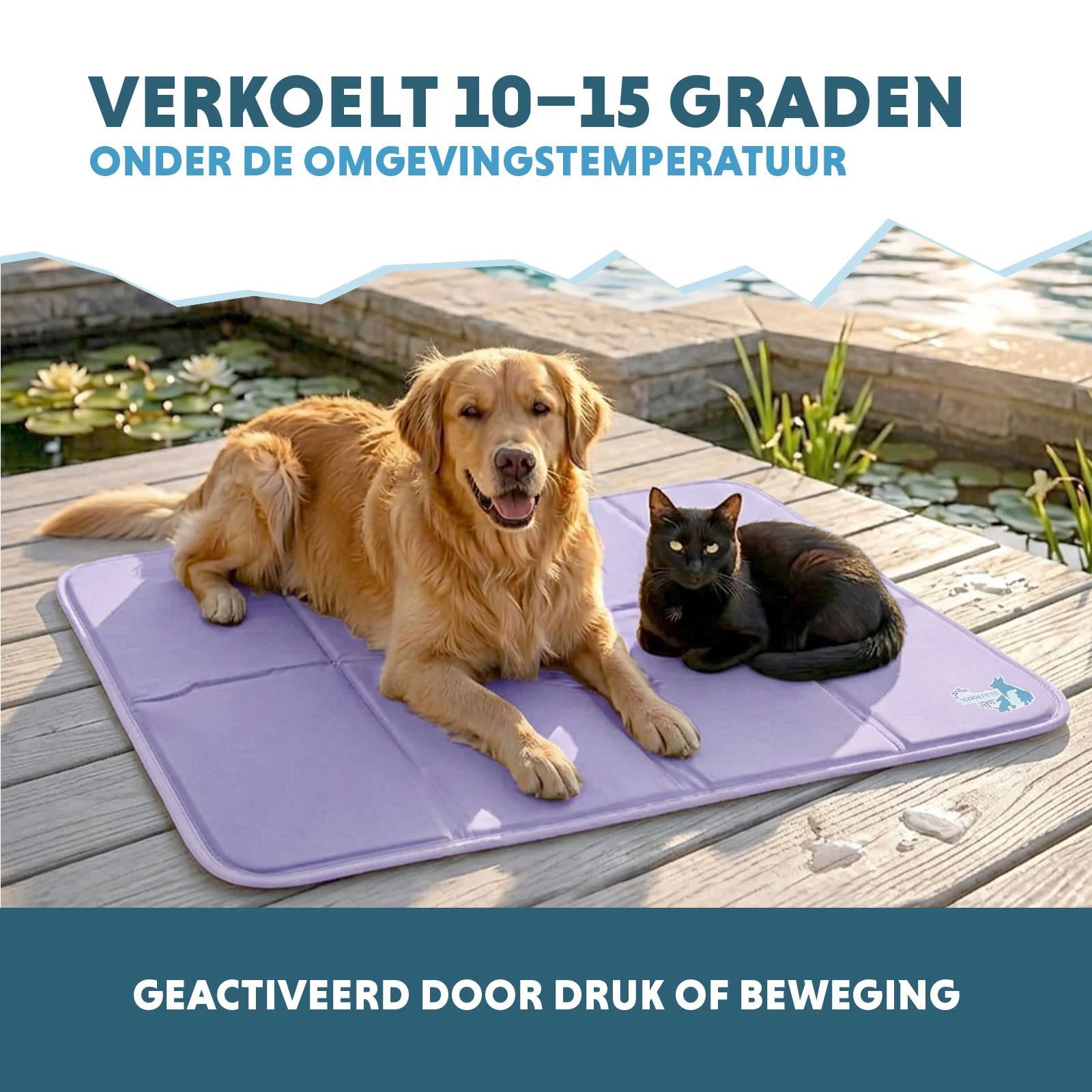 Tapis rafraîchissant pour chien à gel solide, lilas, XL 120 x 70 cm – Coolpets Gel Cooling Mat – Image 4