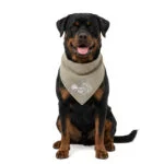 Bandana rafraîchissant pour chiens, beige, L, 85 x 40 cm – Coolpets Cooling Bandana