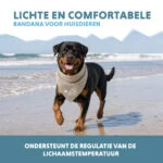 Bandana rafraîchissant pour chiens, beige, L, 85 x 40 cm – Coolpets Cooling Bandana – Image 4