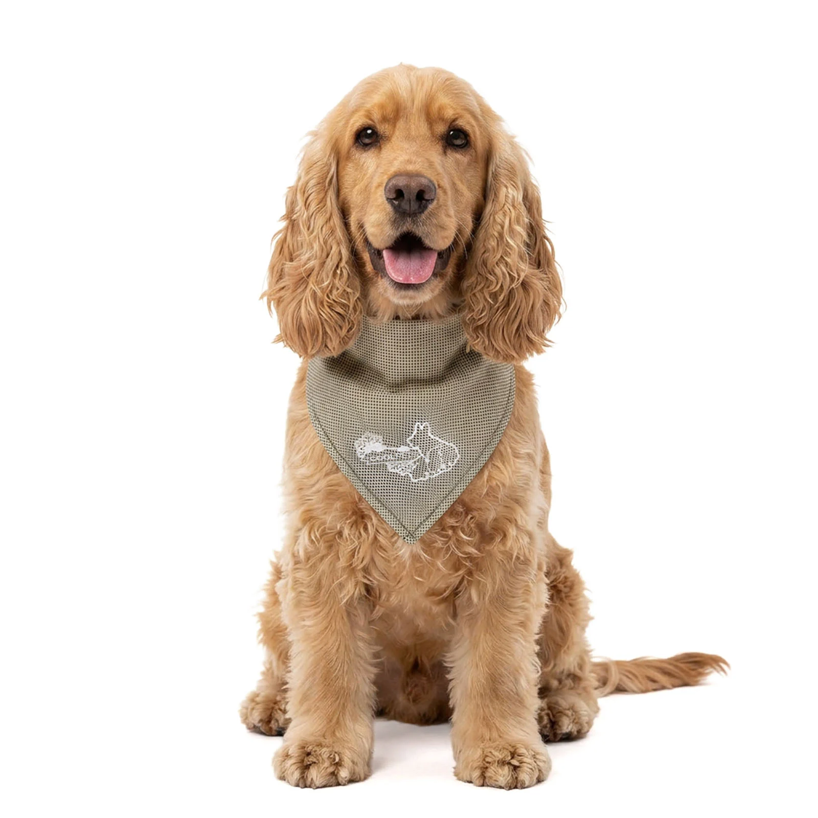 COOL030M_00.jpg Bandana rafraîchissant pour chien, beige, M, 65 x 30 cm – Coolpets Cooling Bandana – Image 1