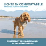 Bandana rafraîchissant pour chien, beige, M, 65 x 30 cm – Coolpets Cooling Bandana – Image 4