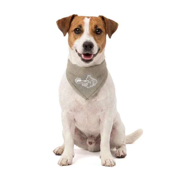 Bandana rafraîchissant pour chiens, beige, S, 45 x 20 cm – Coolpets Cooling Bandana