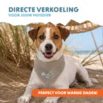 Bandana rafraîchissant pour chiens, beige, S, 45 x 20 cm – Coolpets Cooling Bandana – Image 2
