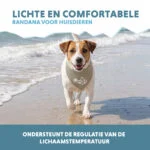 Bandana rafraîchissant pour chiens, beige, S, 45 x 20 cm – Coolpets Cooling Bandana – Image 4