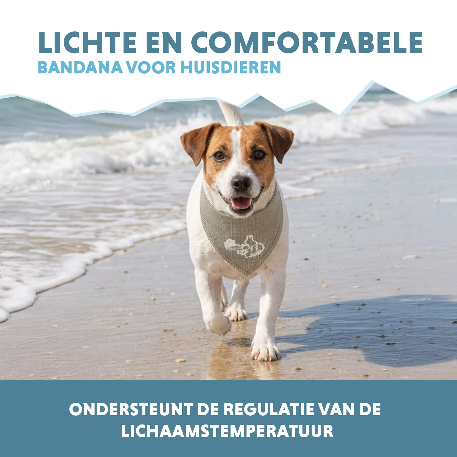 Bandana rafraîchissant pour chiens, beige, S, 45 x 20 cm – Coolpets Cooling Bandana – Image 4