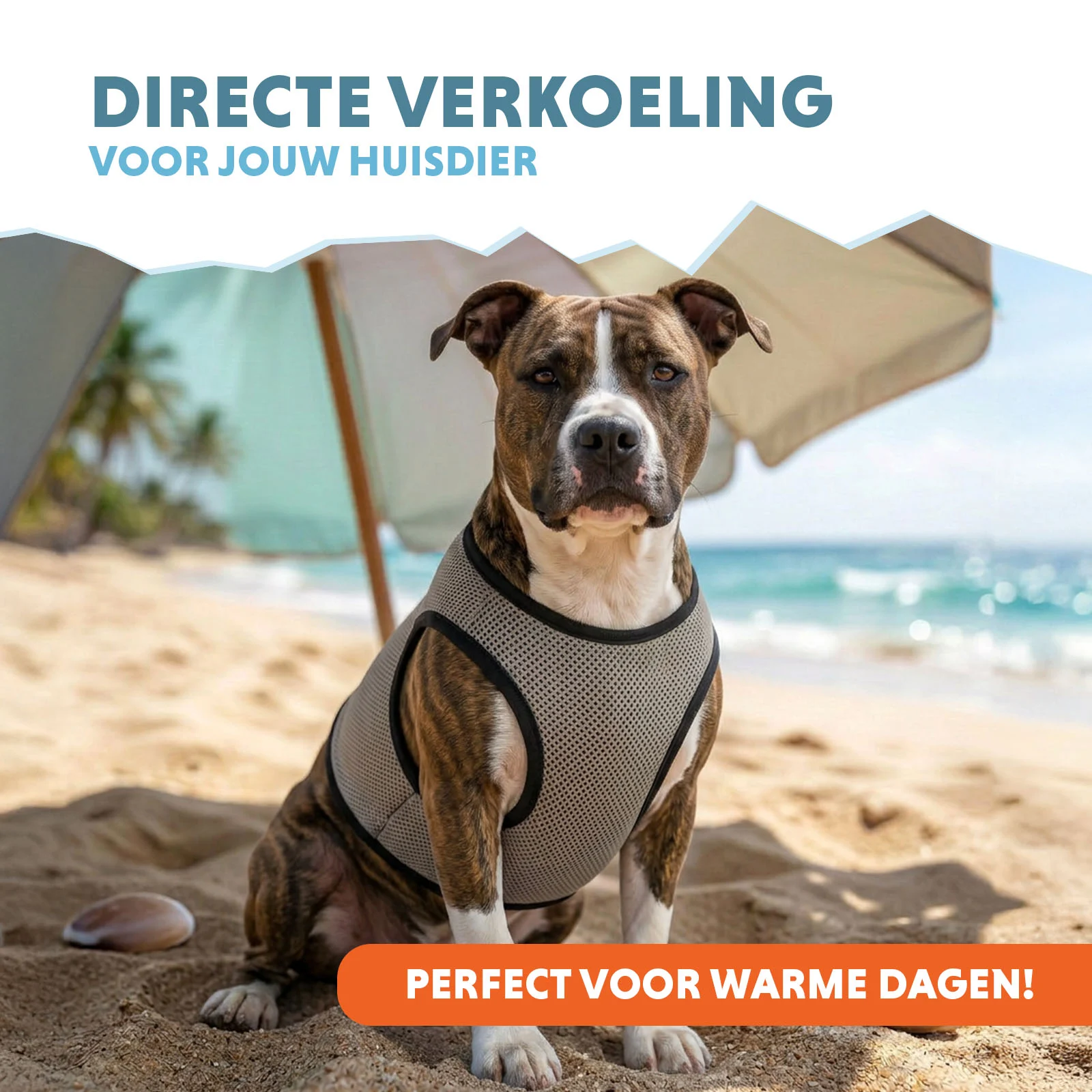 Gilet rafraîchissant pour chien, activé par l’eau, L, longueur de dos 35 cm – Coolpets Cooling Vest – Image 2