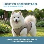 Gilet rafraîchissant pour chien, activé par l’eau, L, longueur de dos 35 cm – Coolpets Cooling Vest – Image 4