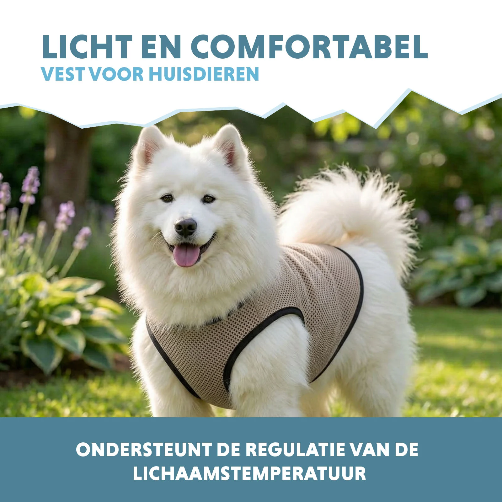 Gilet rafraîchissant pour chien, activé par l’eau, L, longueur de dos 35 cm – Coolpets Cooling Vest – Image 4