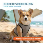 Gilet rafraîchissant pour chiens, activé par l’eau, M, longueur de dos 30 cm – Coolpets Cooling Vest – Image 2