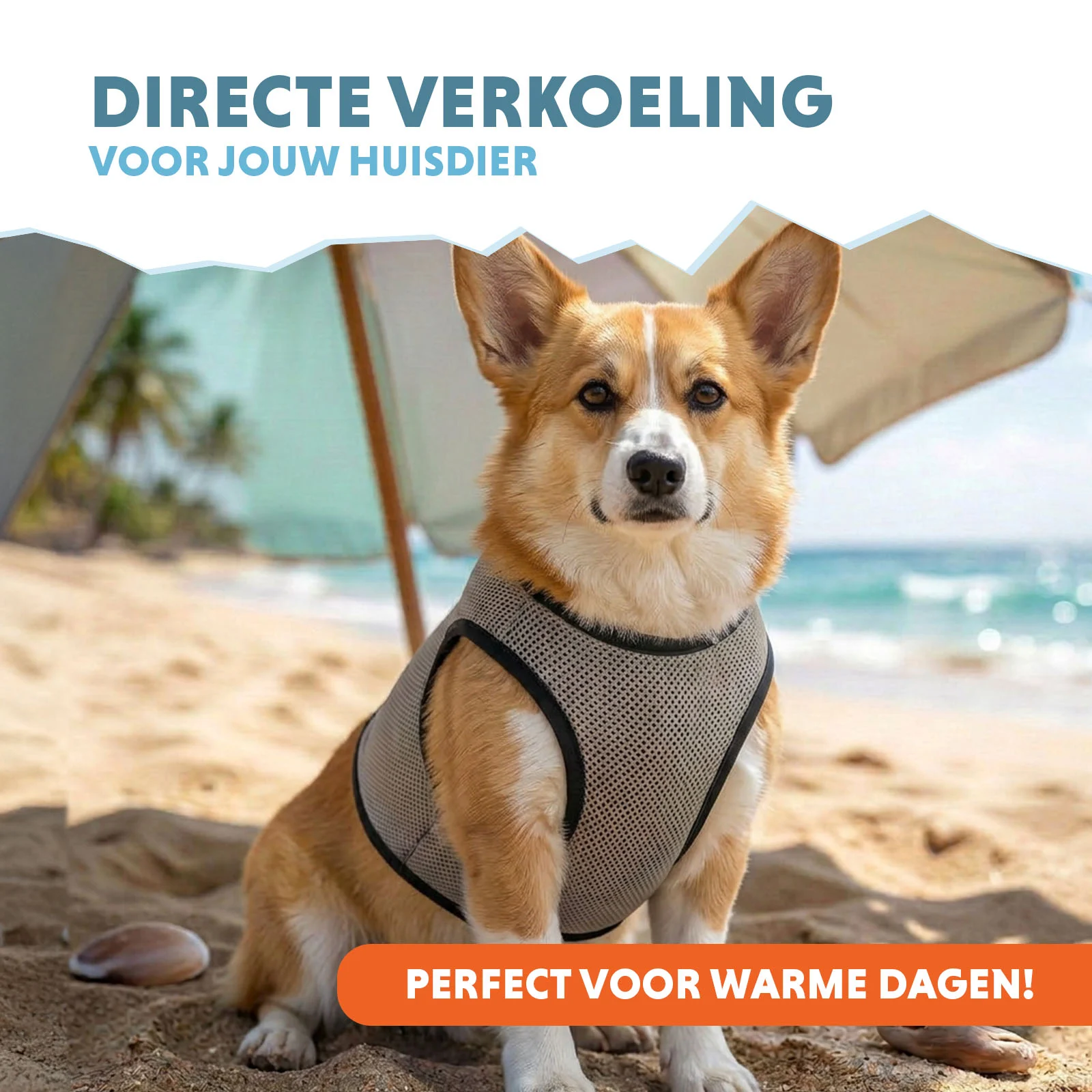 Gilet rafraîchissant pour chiens, activé par l’eau, M, longueur de dos 30 cm – Coolpets Cooling Vest – Image 2