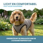 Gilet rafraîchissant pour chiens, activé par l’eau, M, longueur de dos 30 cm – Coolpets Cooling Vest – Image 4