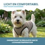 Gilet rafraîchissant pour chien, activé par l’eau, S, longueur de dos 25 cm – Coolpets Cooling Vest – Image 4