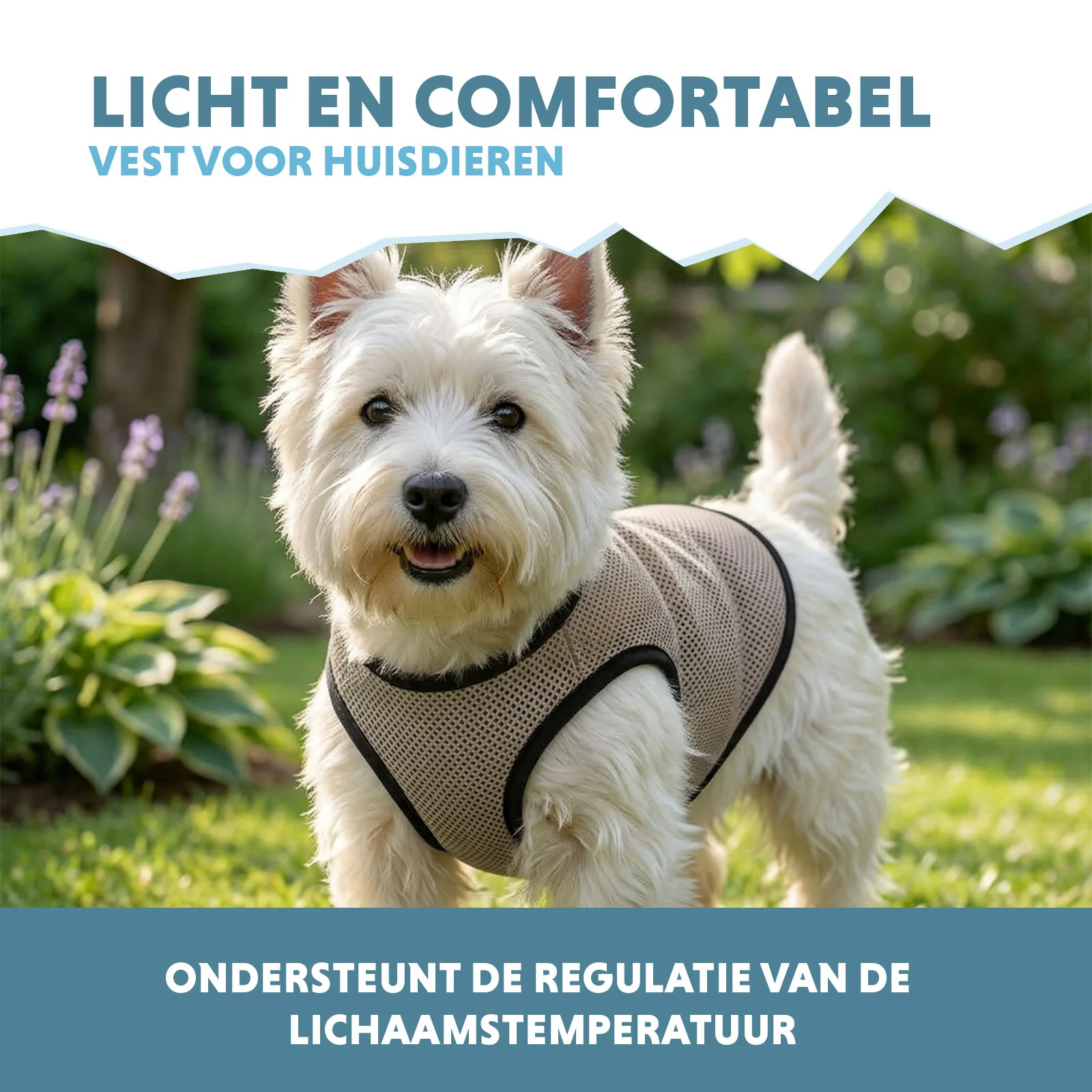 Gilet rafraîchissant pour chien, activé par l’eau, S, longueur de dos 25 cm – Coolpets Cooling Vest – Image 4