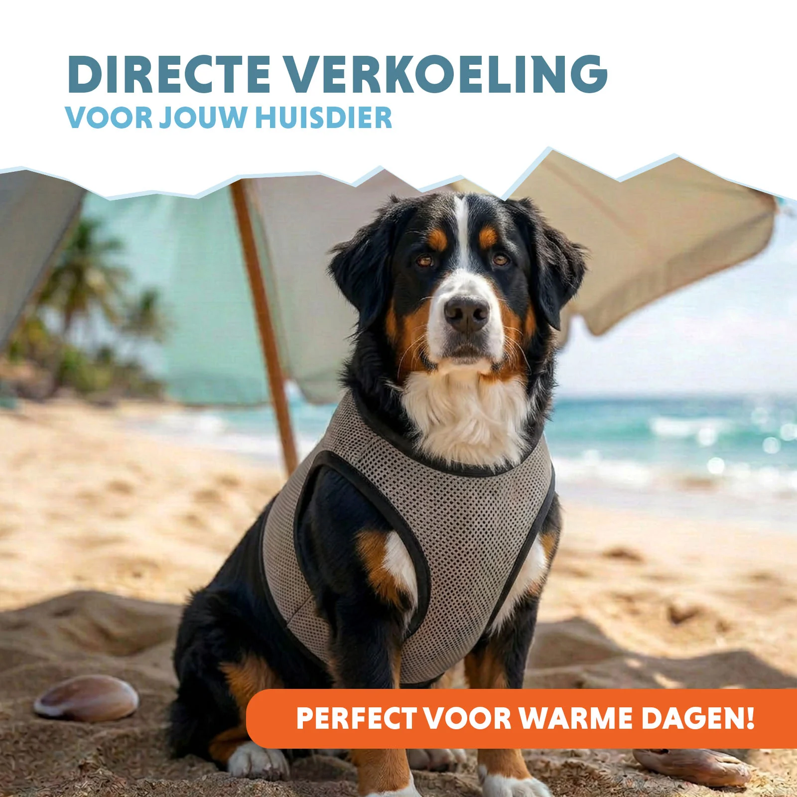 Gilet rafraîchissant pour chien, activé par l’eau, XL, longueur de dos 40 cm – Coolpets Cooling Vest – Image 2