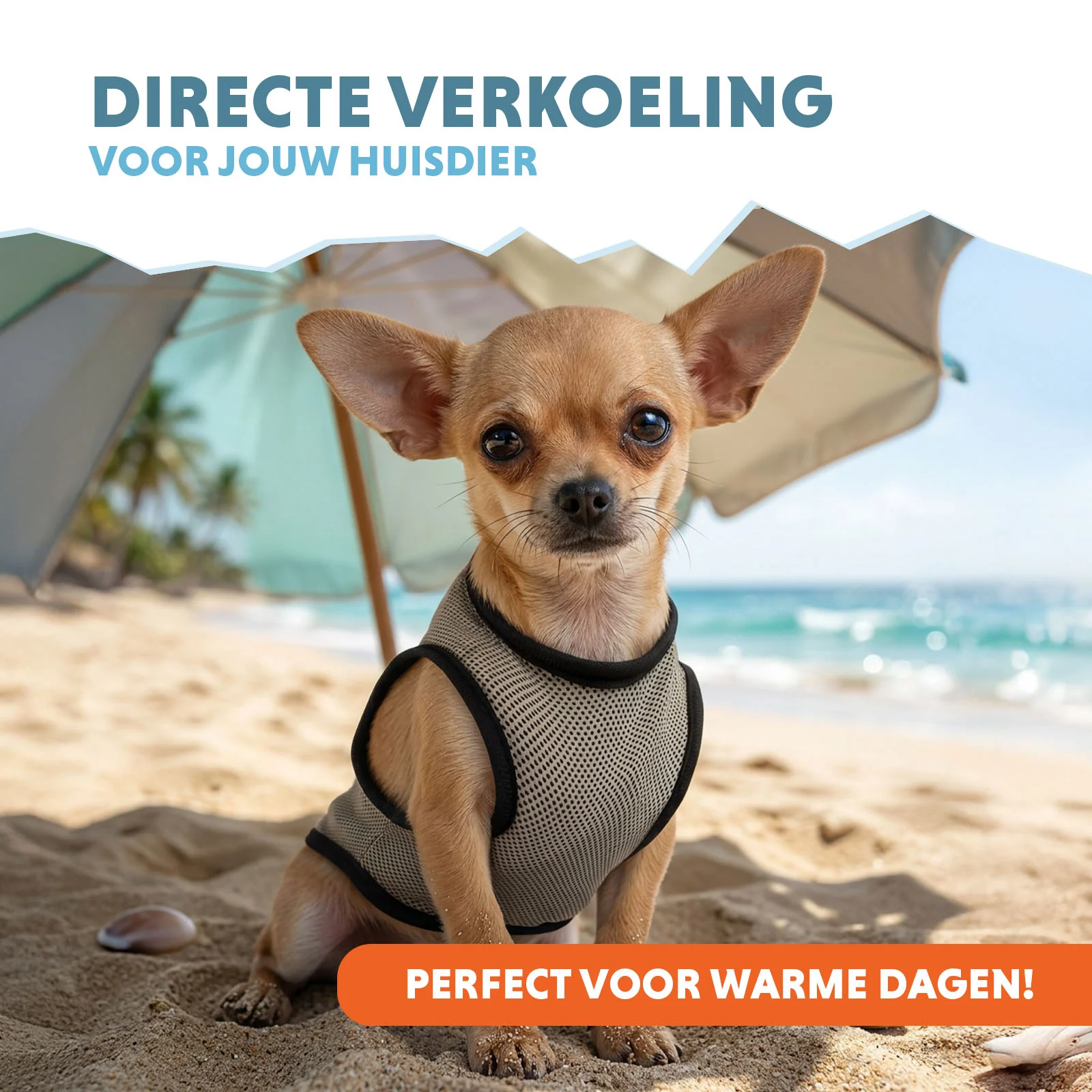 Gilet rafraîchissant pour chiens, à activer avec de l’eau, XS, longueur de dos 20 cm – Coolpets Cooling Vest – Image 2