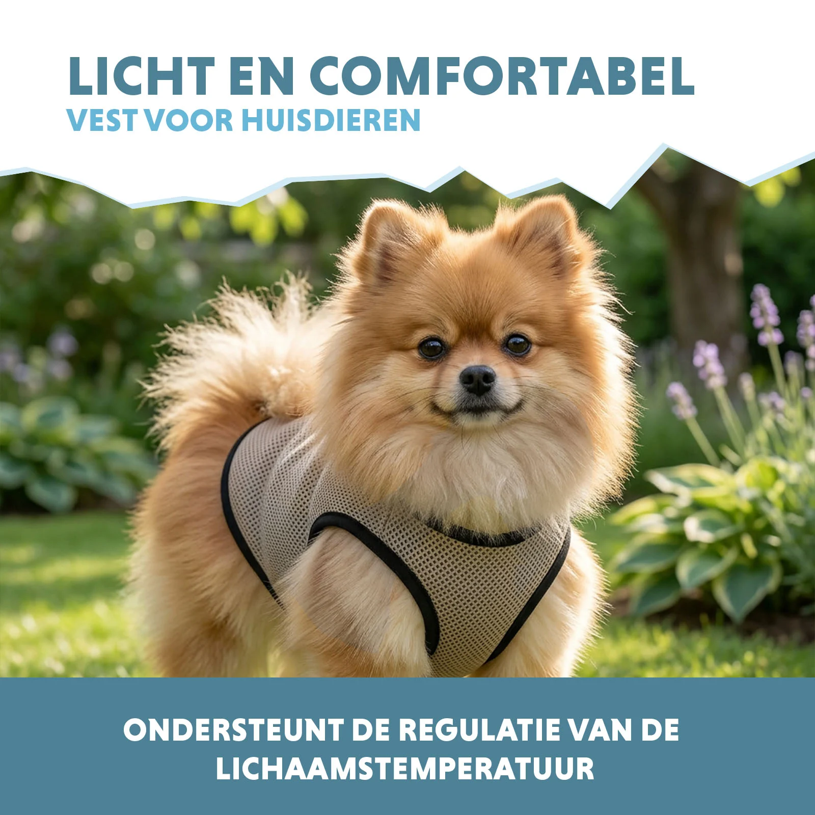 Gilet rafraîchissant pour chiens, à activer avec de l’eau, XS, longueur de dos 20 cm – Coolpets Cooling Vest – Image 4