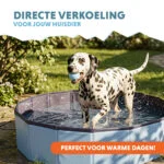 Piscine pour chien avec fond antidérapant, pliable, ø 80 x 20 cm – Coolpets Splash Dog Pool – Image 2