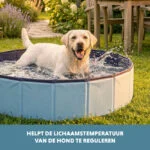 Piscine pliable pour chien avec fond antidérapant, ø 100 x 30 cm – Coolpets Splash Dog Pool – Image 6