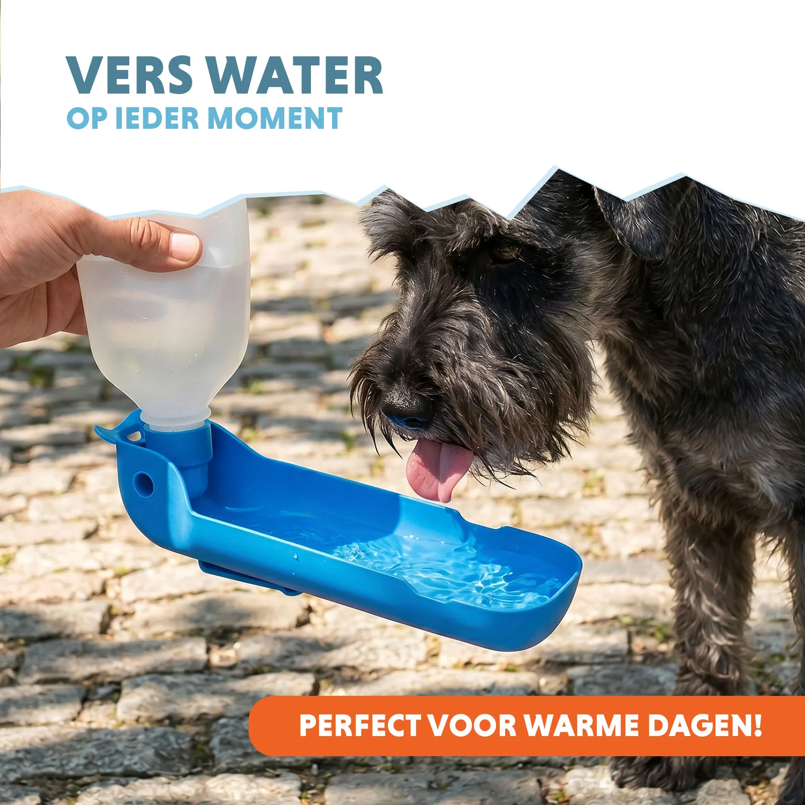 Gourde pour chien à emporter, 300 ml – Coolpets Fresh 2GO – Image 2