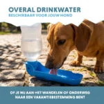 Gourde pour chien à emporter, 300 ml – Coolpets Fresh 2GO – Image 4