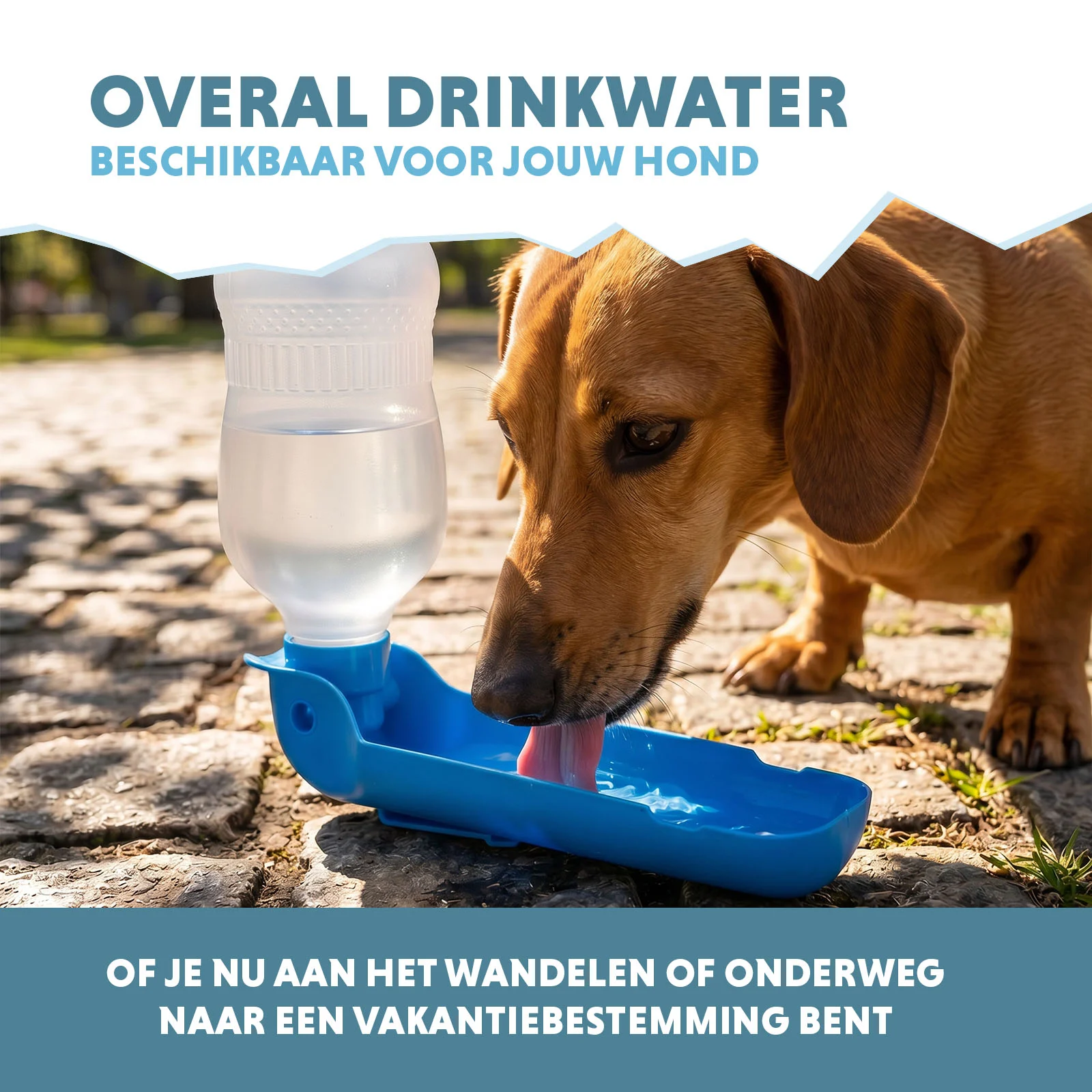 Gourde pour chien à emporter, 300 ml – Coolpets Fresh 2GO – Image 4