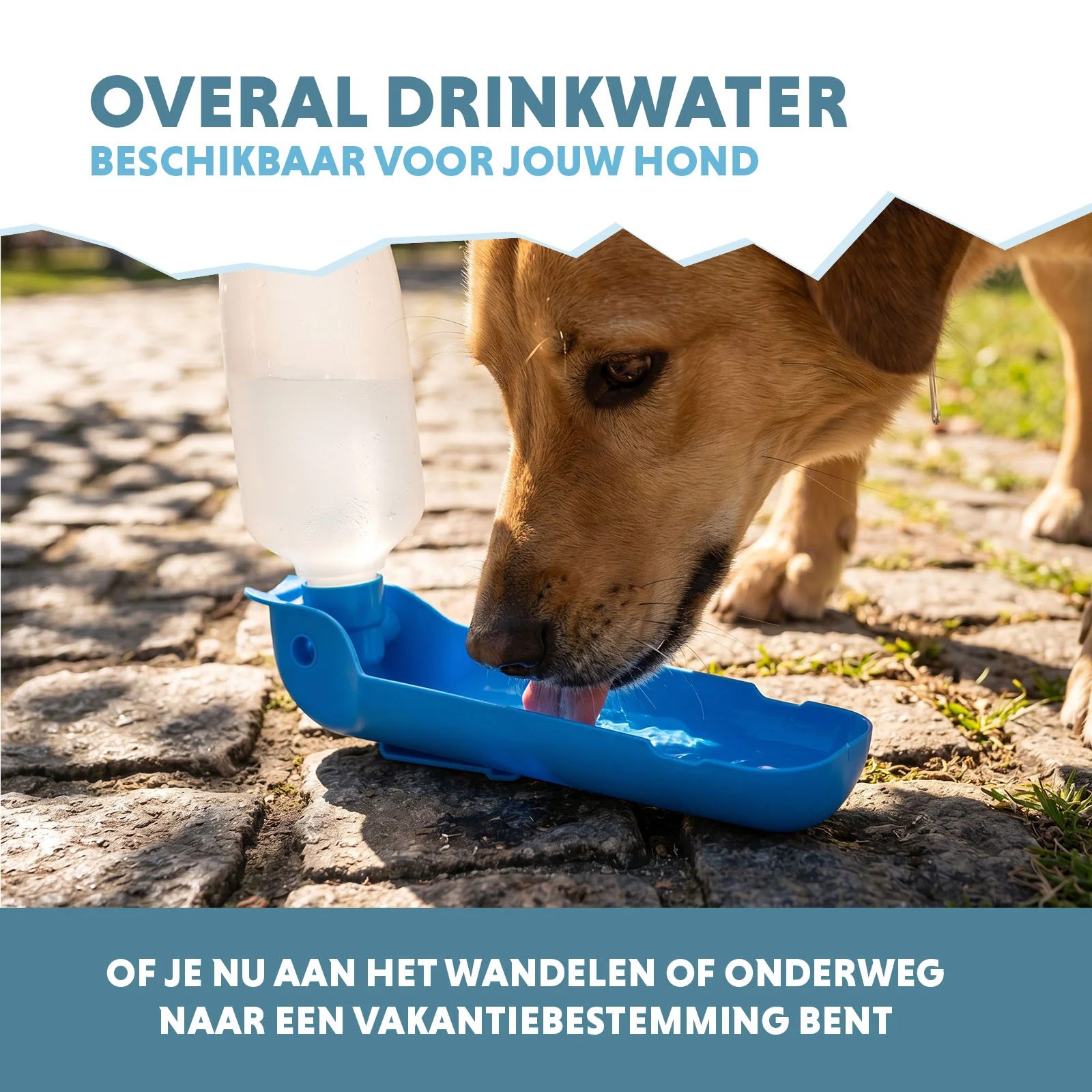 Gourde pour chien à emporter, 500 ml – Coolpets Fresh 2GO – Image 4