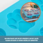 Moule à glace pour 8 friandises glacées pour chien – Coolpets Dog Ice Mix Tray – Image 4