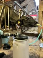 Pompe de drenchage pour vaches entraînée par une perceuse avec bidon de 25 l – Excellent Cow Drencher Drill Driven – Image 2