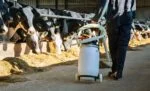 Chariot pour Cow Drencher avec supports pour bidon et tuyau, pliable, 100 cm – Excellent Cow Drencher – Image 2