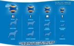 Balle pour chien en caoutchouc avec couineur S, ø 5 cm, 2 pièces – Chuckit! Ultra Squeaker Ball – Image 3