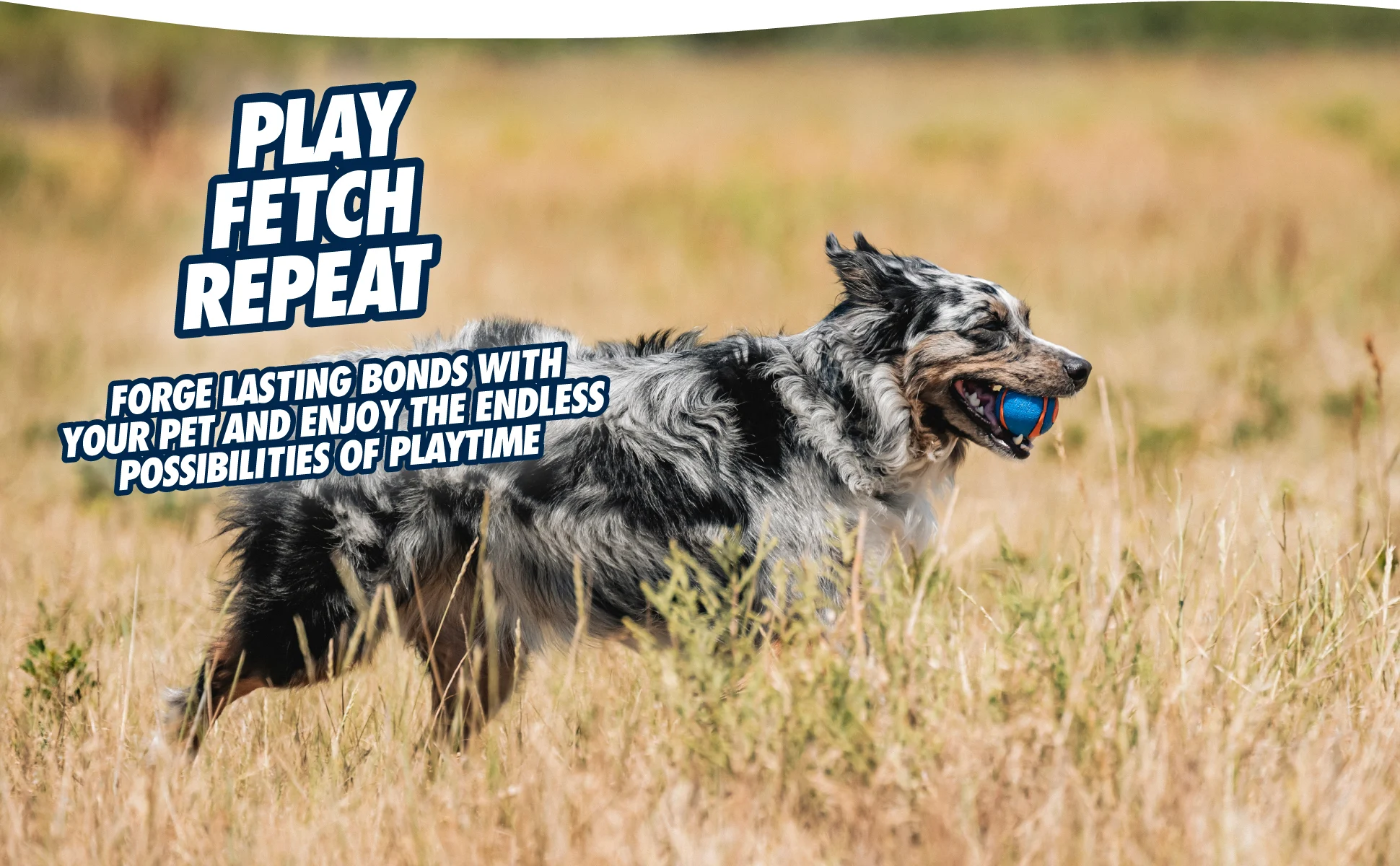 Balle en caoutchouc avec couineur pour chien M, ø 6 cm, 2 pièces – Chuckit! Ultra Squeaker Ball – Image 6