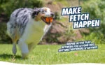 Balle pour chien en caoutchouc, Ø 6 cm, 2 pièces – Chuckit! Fetch Ball M – Image 3