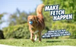 Balles pour chien pour le jeu de rapport, 3 pièces, Ø 6 cm – Chuckit! Fetch Medley Gen 3 – Image 3