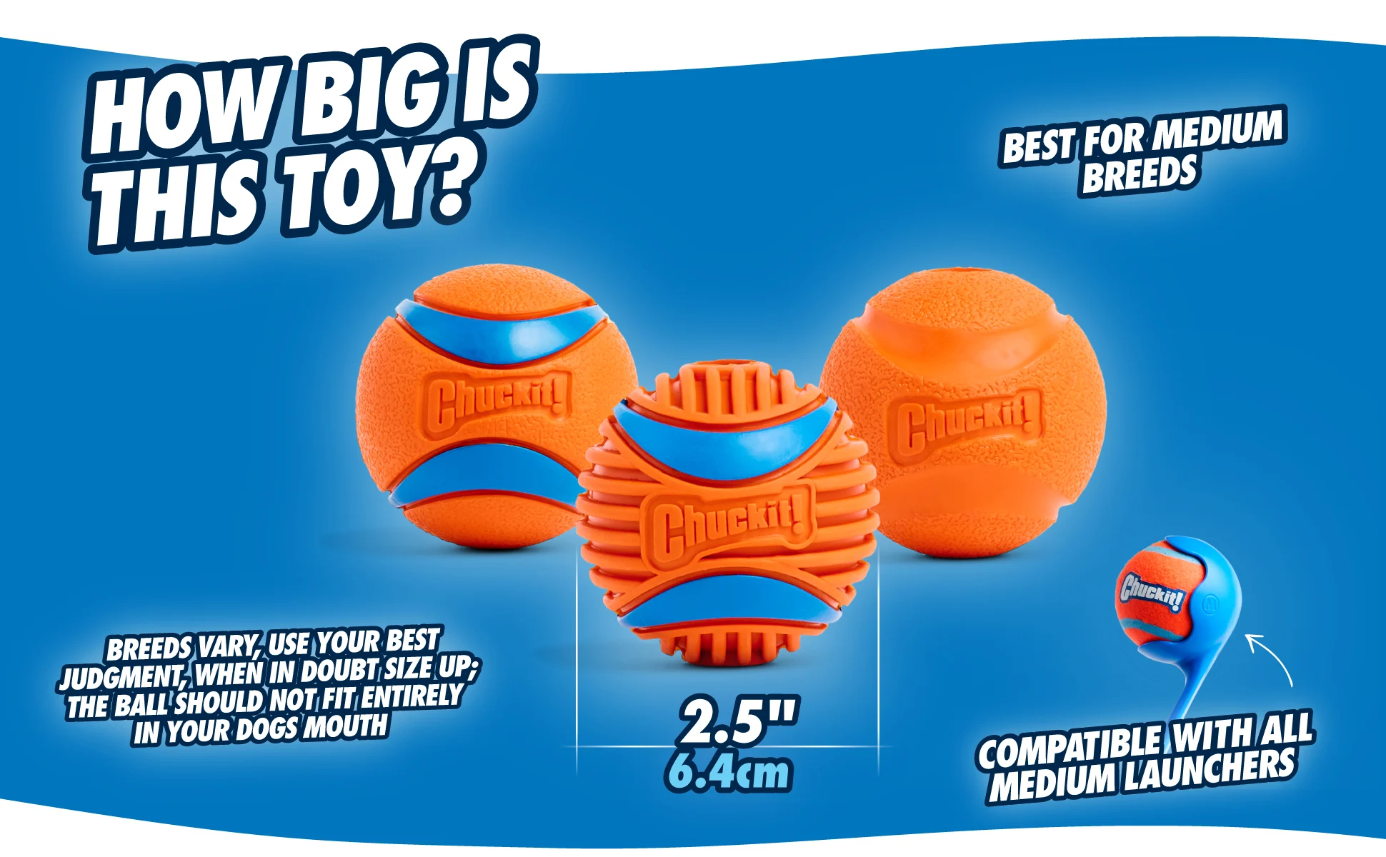 Balle pour chien en caoutchouc, Ø 5 cm, 2 pièces – Chuckit! Fetch Ball S – Image 4
