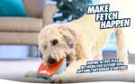 Jouet coulissant pour chien avec couineur, 18 x 14 cm – Chuckit! Indoor Super Slider – Image 4