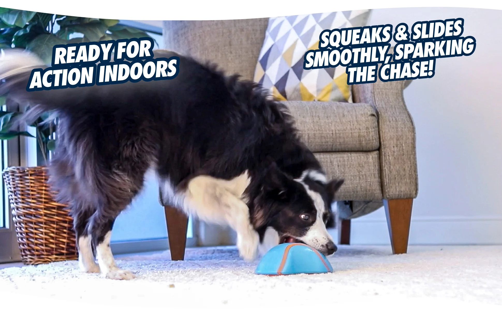 Jouet coulissant pour chien avec couineur, 18 x 14 cm – Chuckit! Indoor Super Slider – Image 6