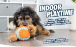 Jouet d’intérieur pour chien avec boucle, 11,5 x 13 x 20 cm – Chuckit! Indoor Shaker – Image 2