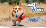 Ballon de football pour chien avec encoches en caoutchouc, Ø 14 cm – Chuckit! Kick Fetch Dog S – Image 6