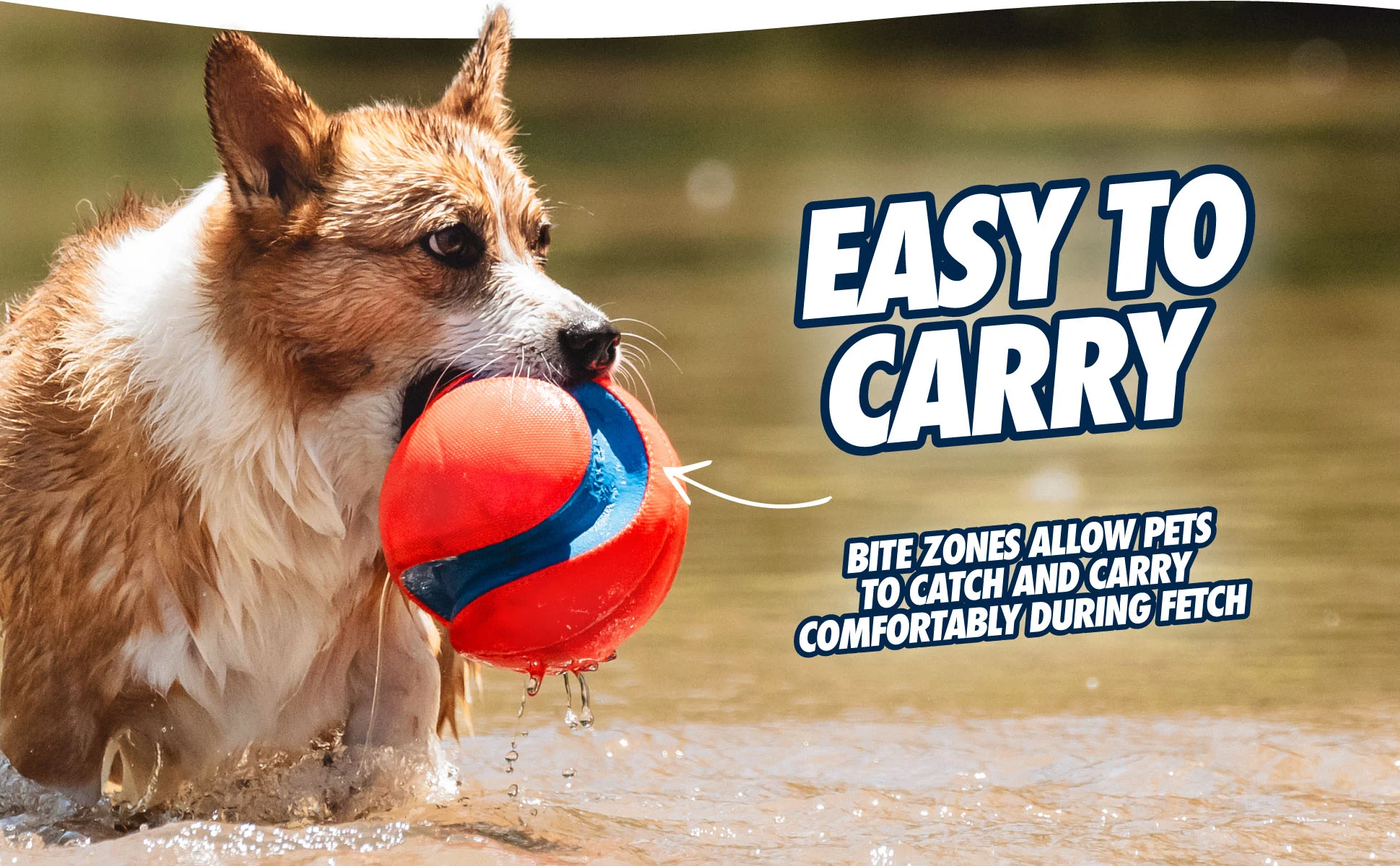 Ballon de football pour chien avec encoches en caoutchouc, Ø 14 cm – Chuckit! Kick Fetch Dog S – Image 5