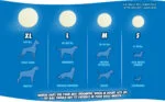 Balle en caoutchouc lumineuse pour chien, Ø 7 cm – Chuckit! Max Glow L – Image 4