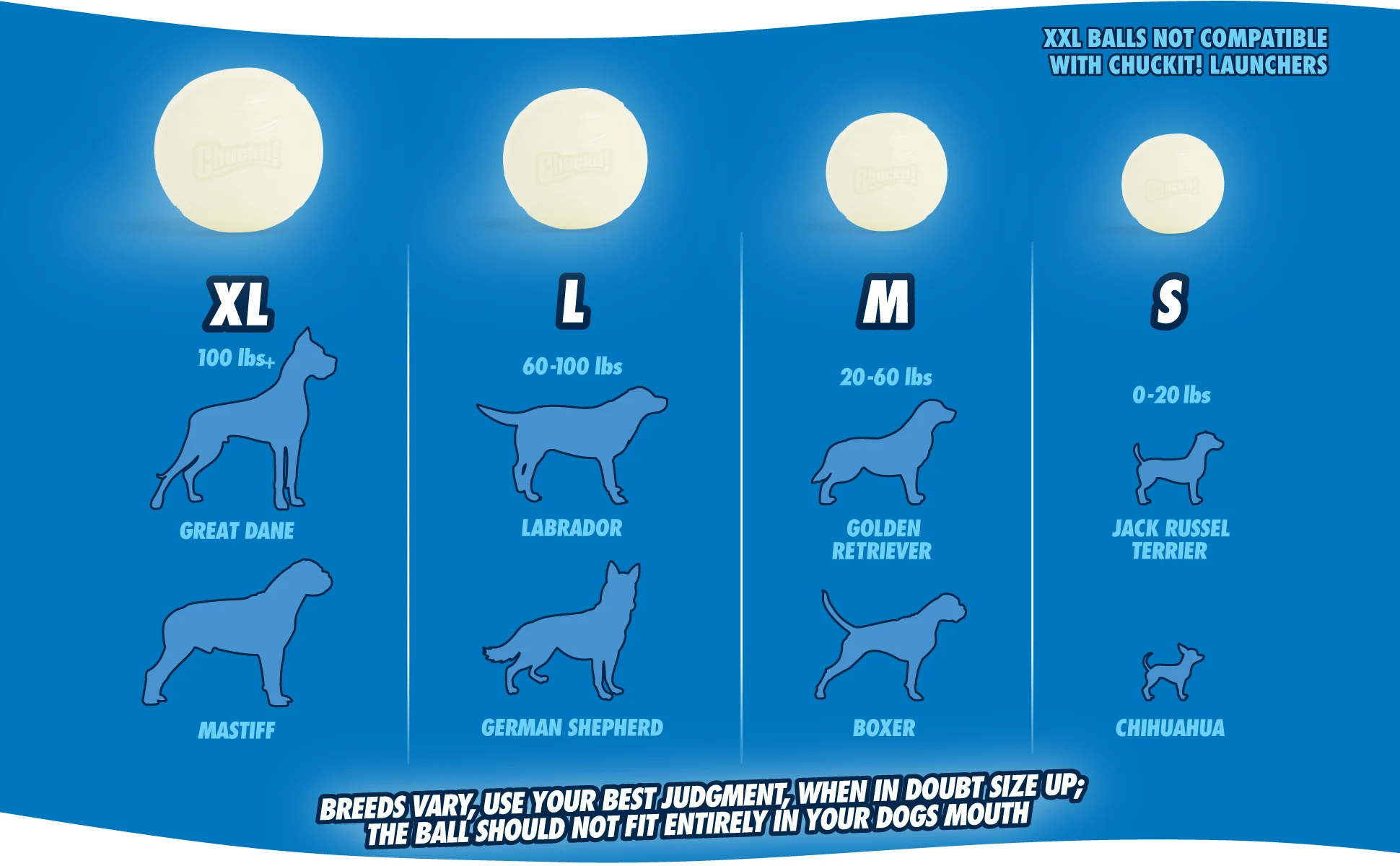 Balle en caoutchouc lumineuse pour chien, Ø 7 cm – Chuckit! Max Glow L – Image 4