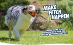 Balle en caoutchouc pour chien XL, ø 9 cm – Chuckit! Ultra Ball – Image 4
