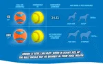 Balle pour chien en caoutchouc avec couineur S, ø 5 cm, 1 pièce – Chuckit! Ultra Squeaker Ball – Image 4
