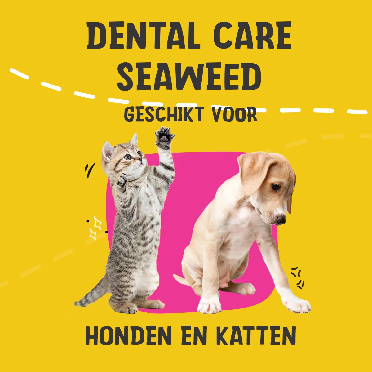 Complément alimentaire dentaire pour chiens et chats, 150 g – Excellent Pets Dental Care Seaweed – Image 2